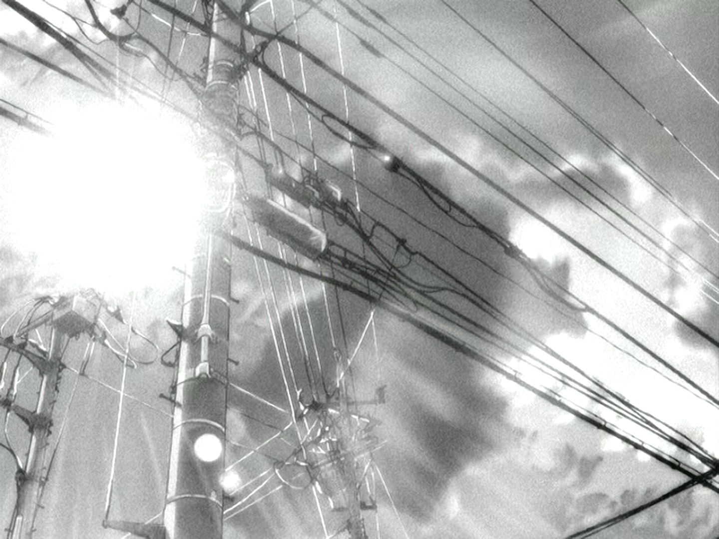 她和她的猫剧照的剧照