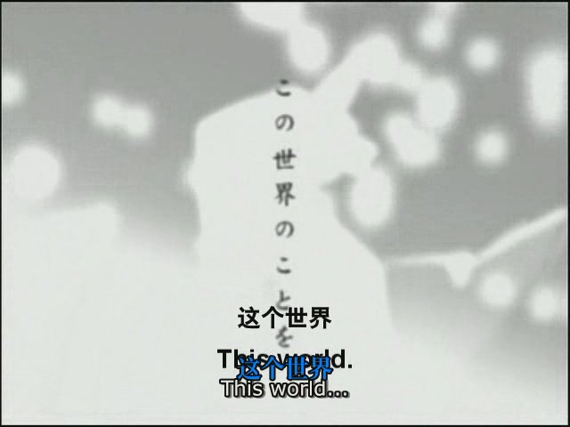 她和她的猫剧照的剧照