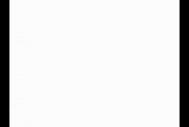 她和她的猫剧照的剧照