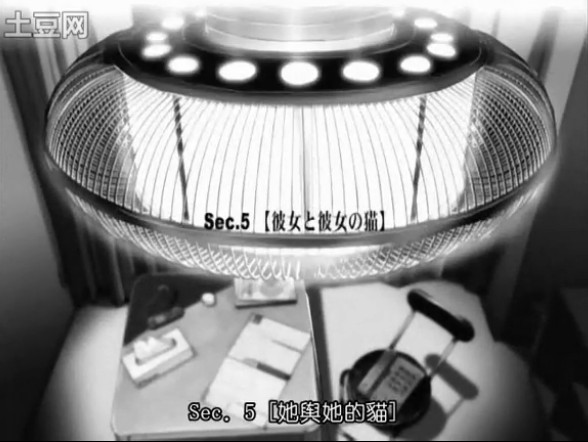 她和她的猫剧照的剧照