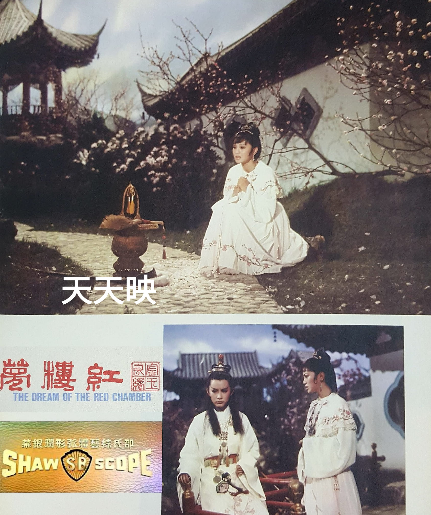 金玉良缘红楼梦剧照的剧照