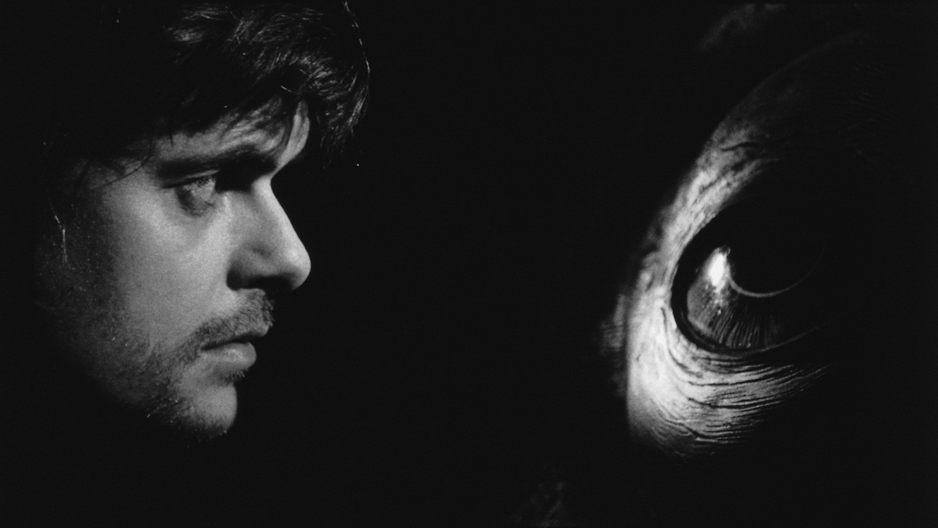 鲸鱼马戏团剧照的剧照