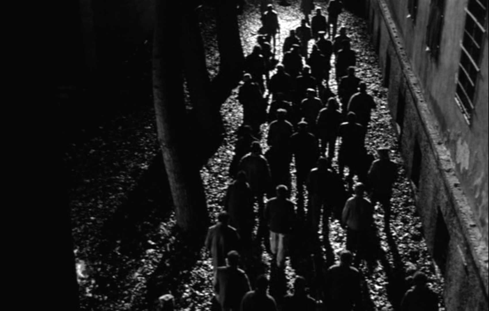 鲸鱼马戏团剧照的剧照