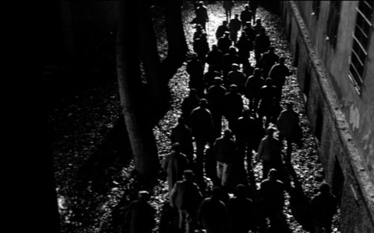 鲸鱼马戏团剧照的剧照