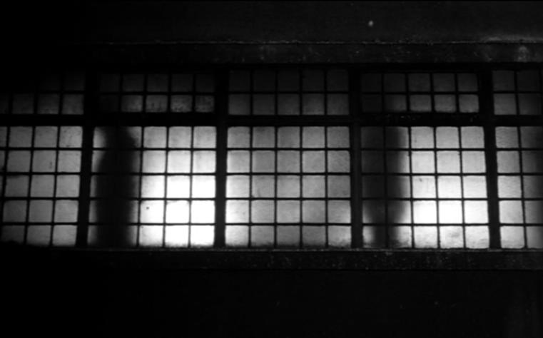 鲸鱼马戏团剧照的剧照