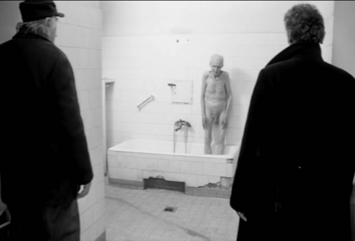 鲸鱼马戏团剧照的剧照