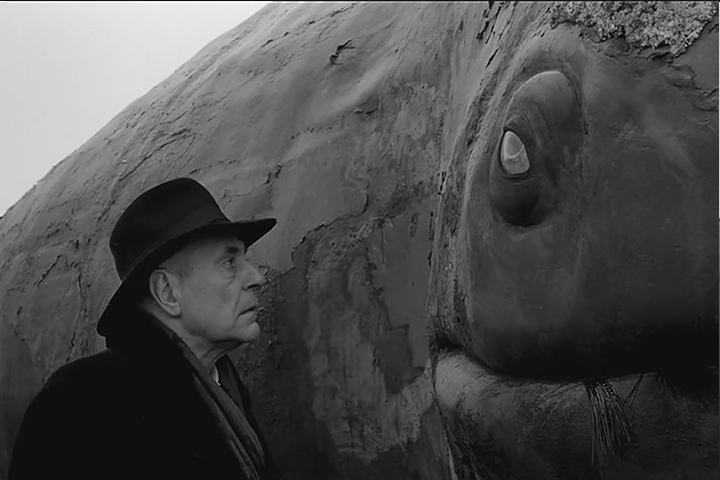 鲸鱼马戏团剧照的剧照