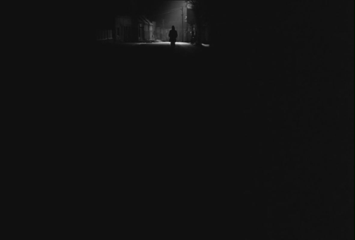 鲸鱼马戏团剧照的剧照