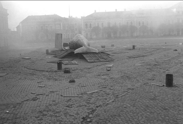 鲸鱼马戏团剧照的剧照