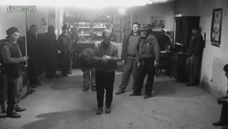 鲸鱼马戏团剧照的剧照