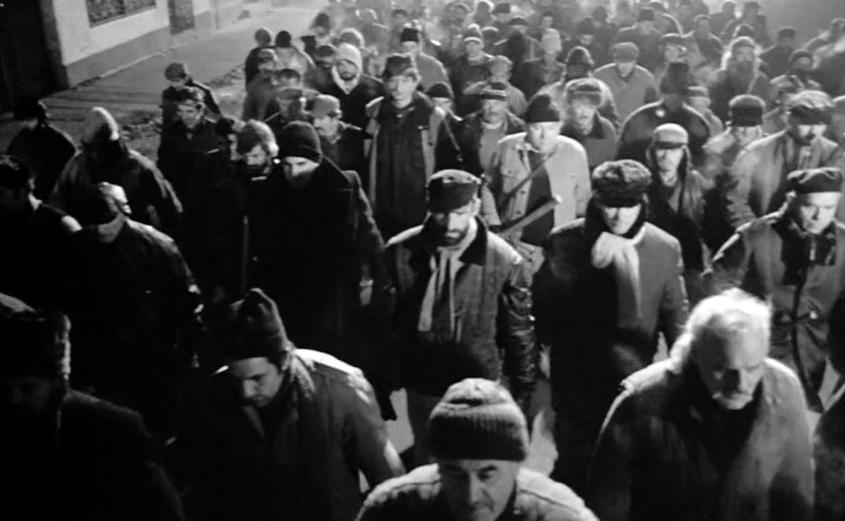 鲸鱼马戏团剧照的剧照