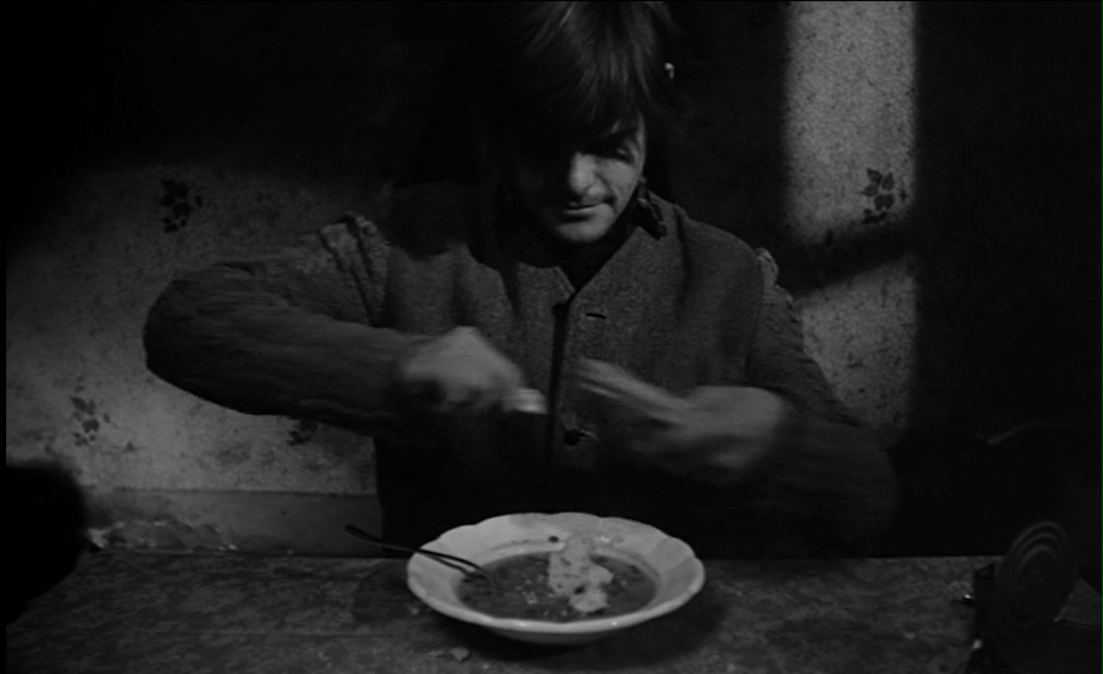 鲸鱼马戏团剧照的剧照