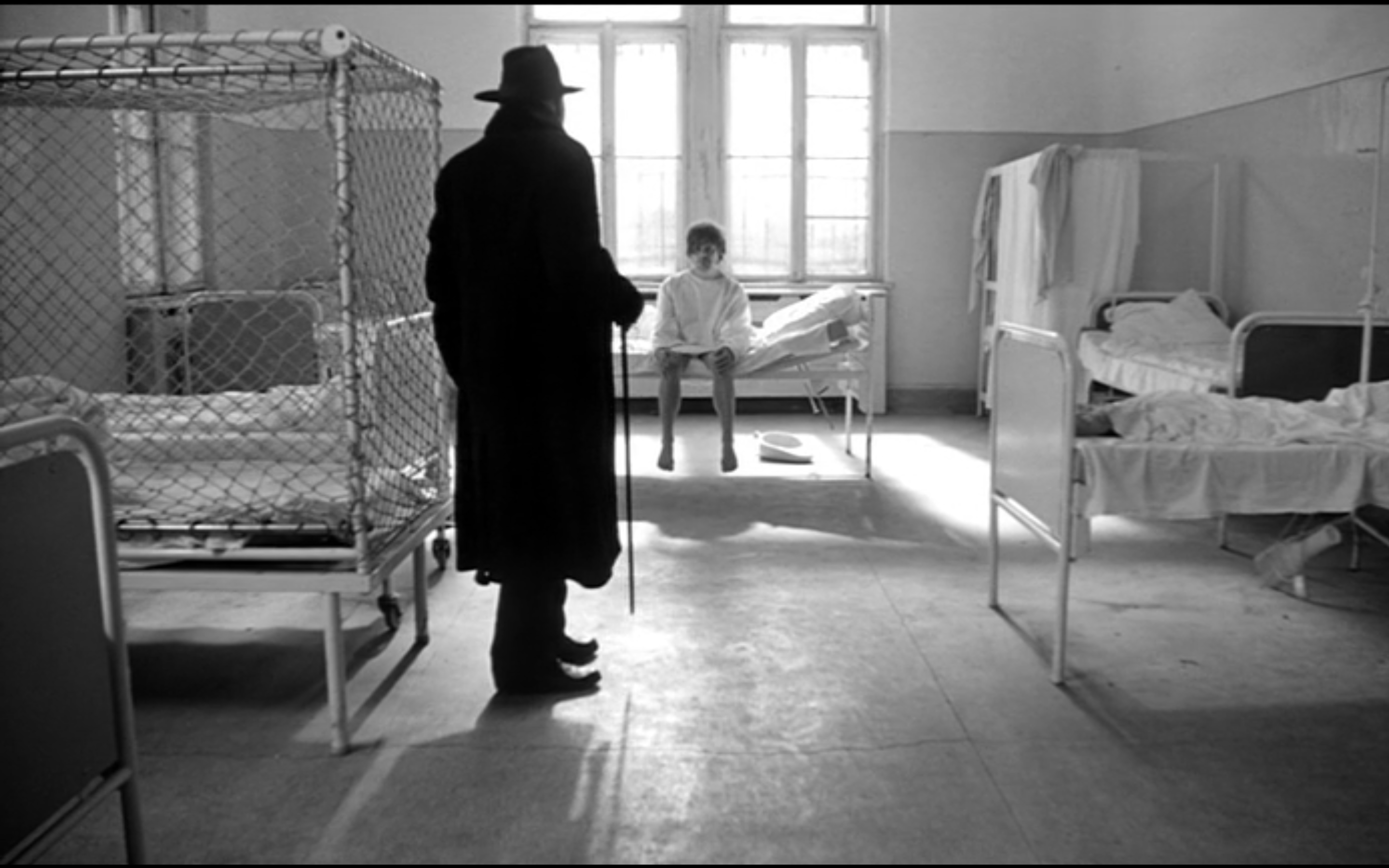 鲸鱼马戏团剧照的剧照