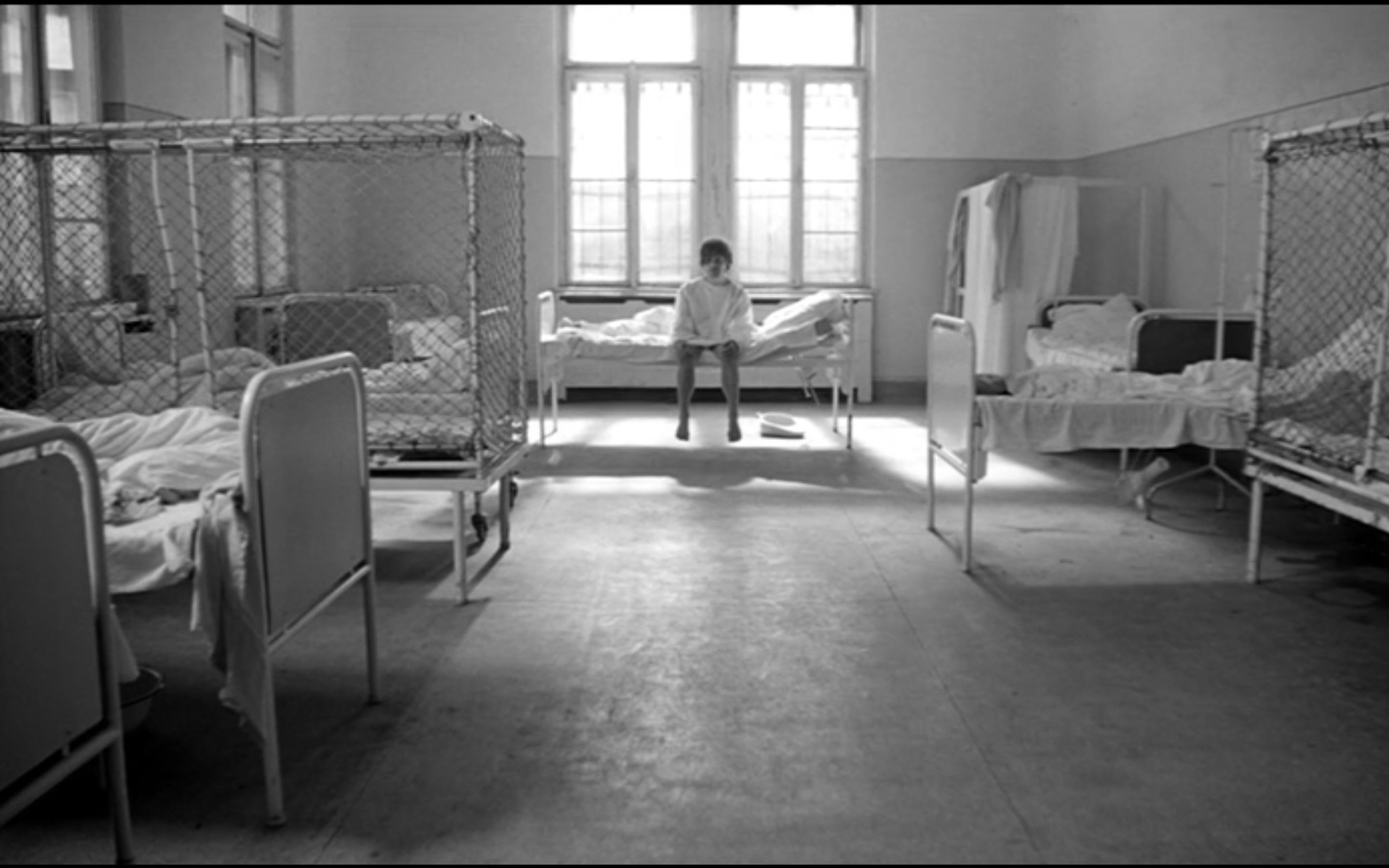 鲸鱼马戏团剧照的剧照