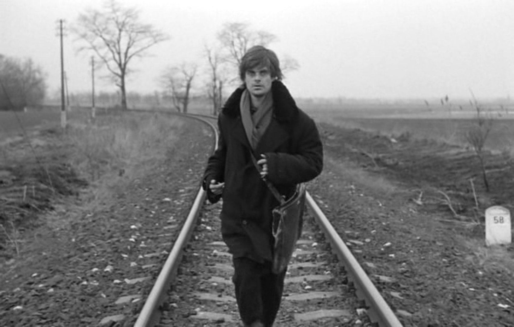 鲸鱼马戏团剧照的剧照