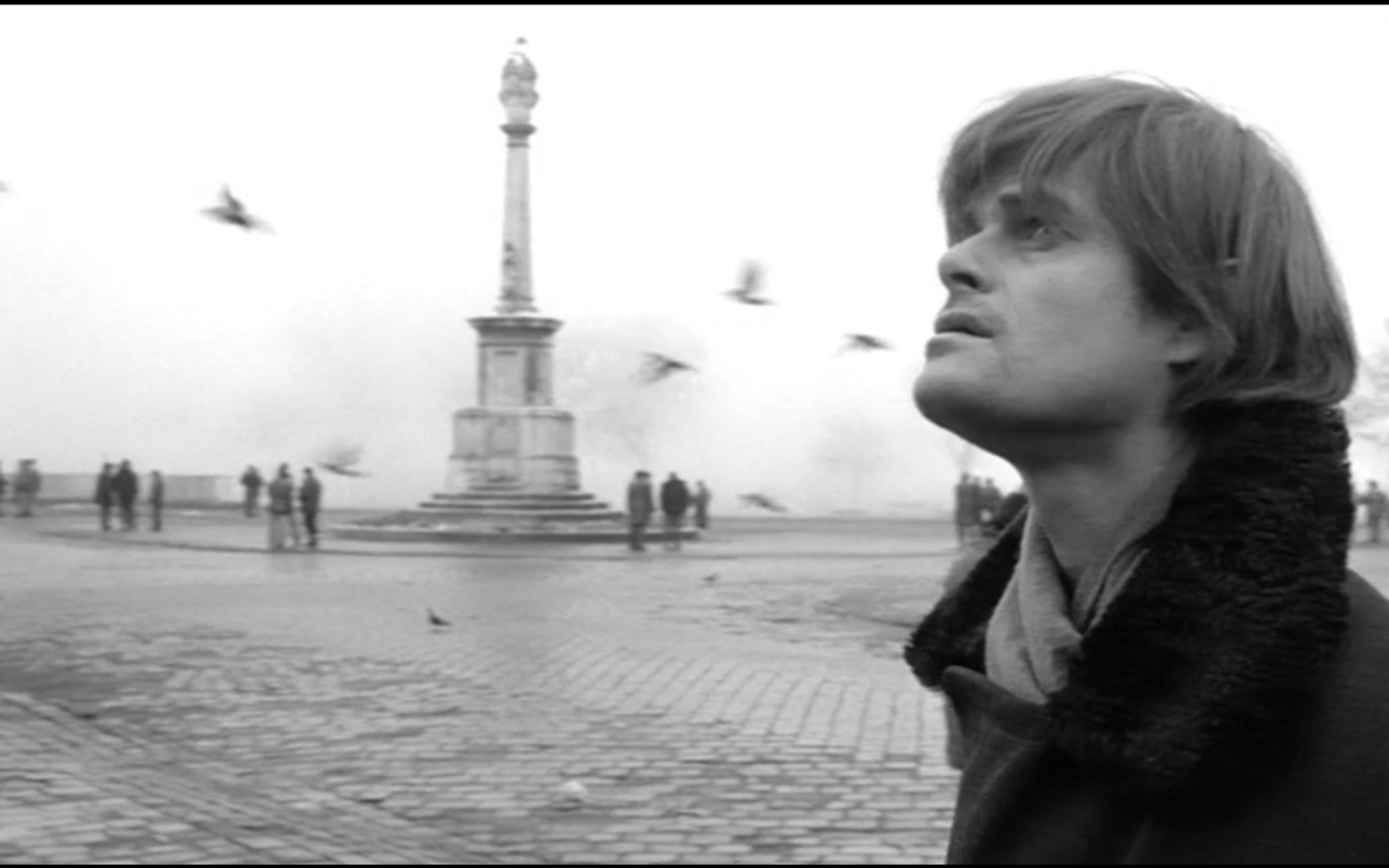 鲸鱼马戏团剧照的剧照