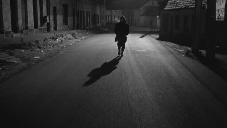 鲸鱼马戏团剧照的剧照