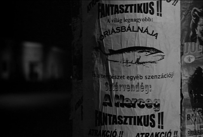 鲸鱼马戏团剧照的剧照