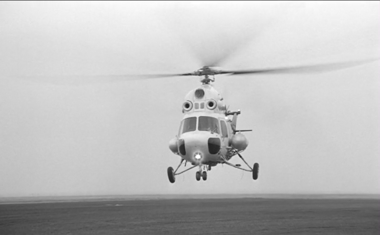 鲸鱼马戏团剧照的剧照