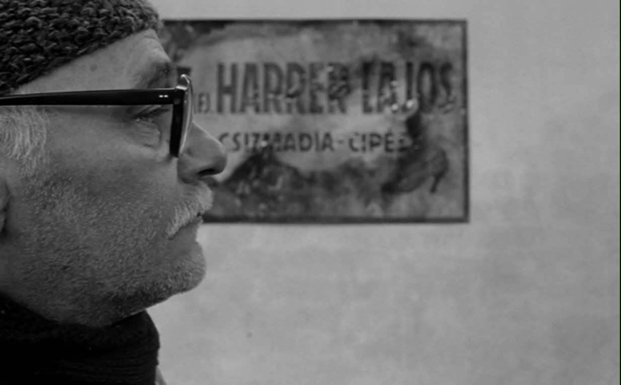 鲸鱼马戏团剧照的剧照