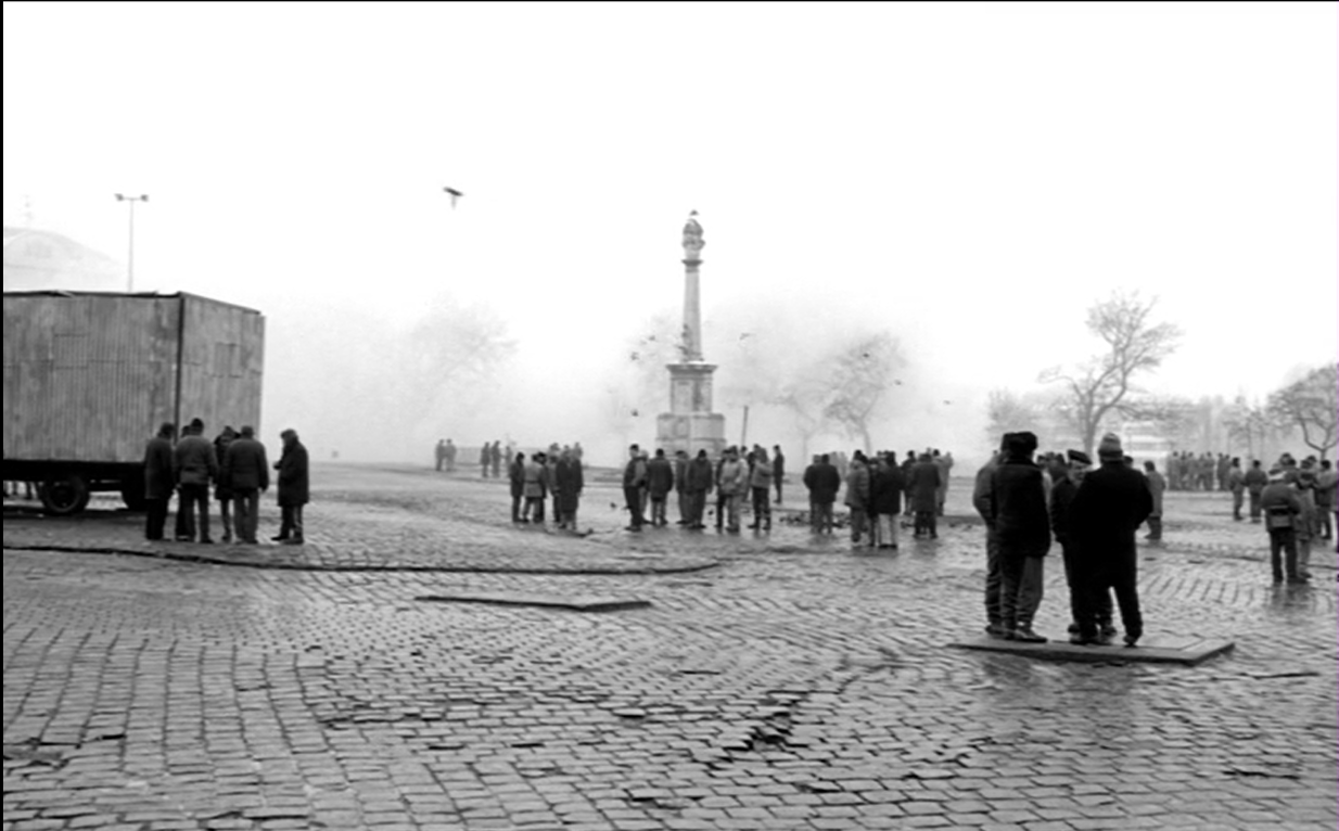 鲸鱼马戏团剧照的剧照