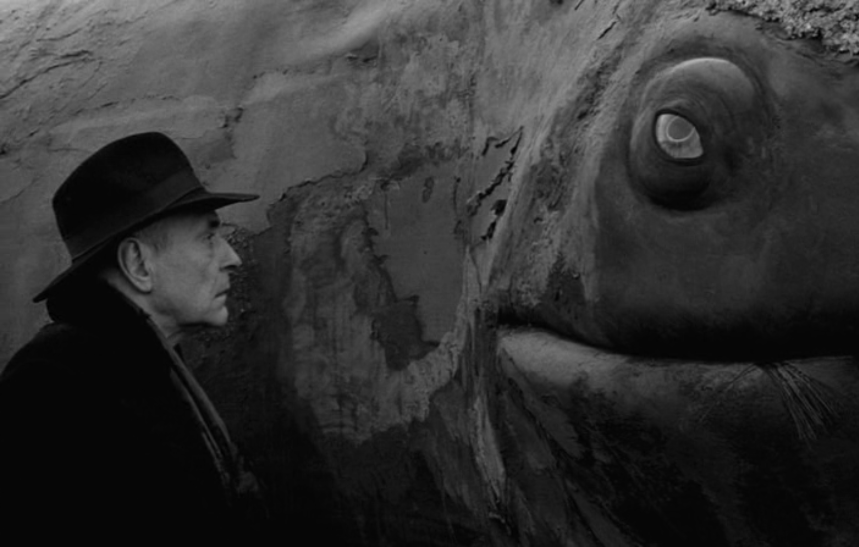 鲸鱼马戏团剧照的剧照