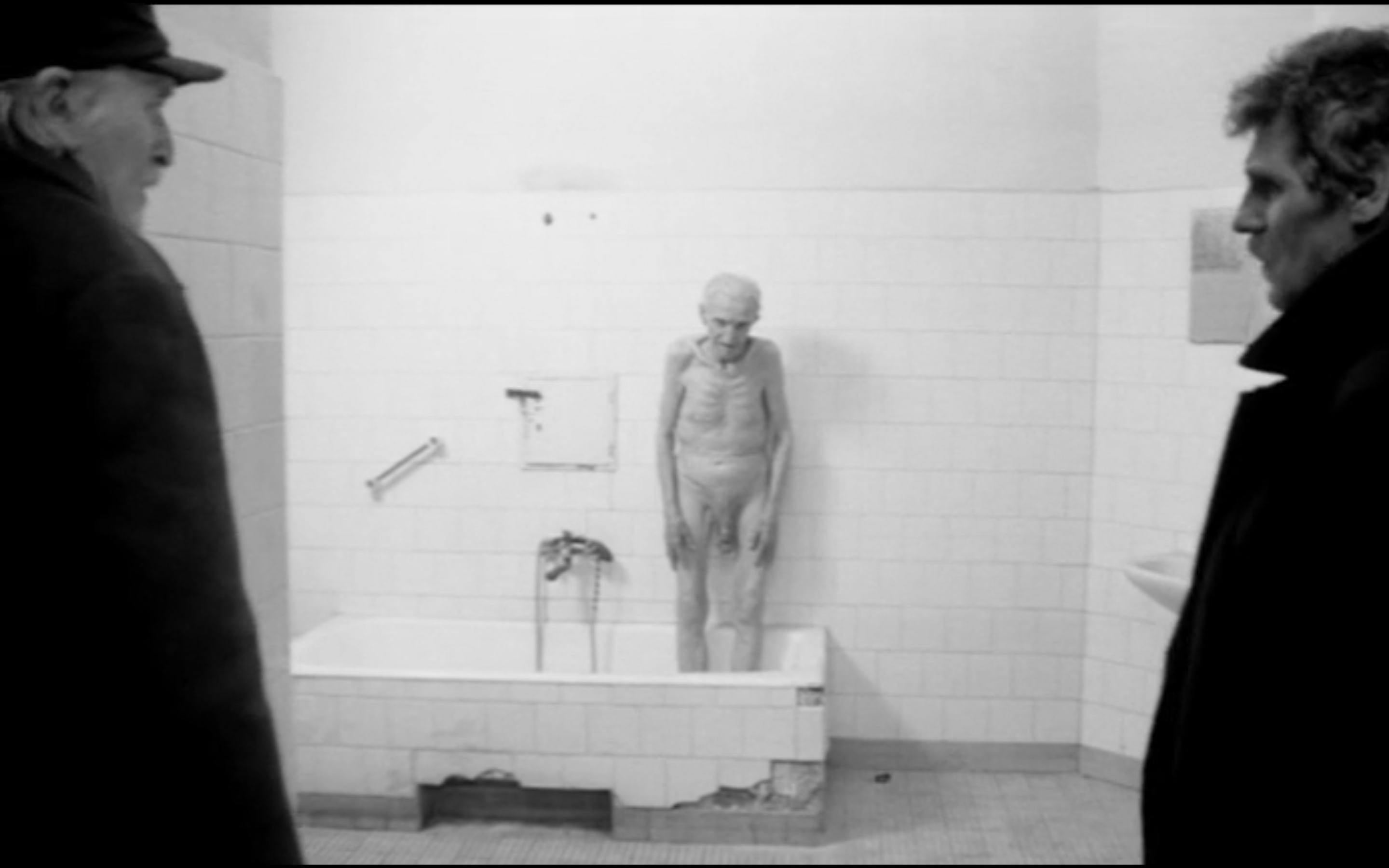 鲸鱼马戏团剧照的剧照