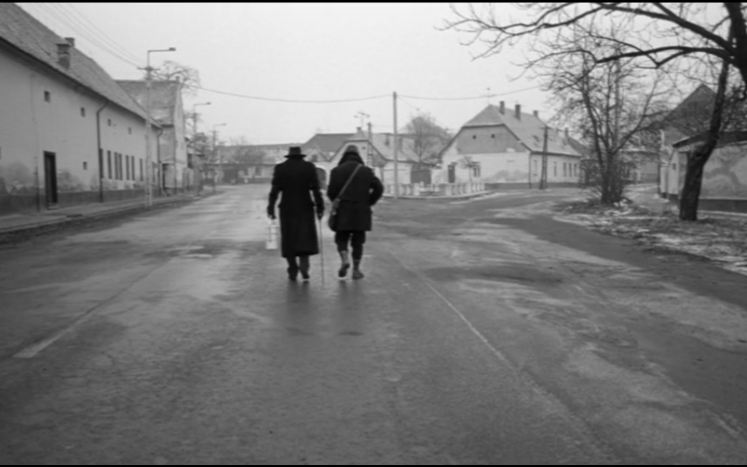 鲸鱼马戏团剧照的剧照