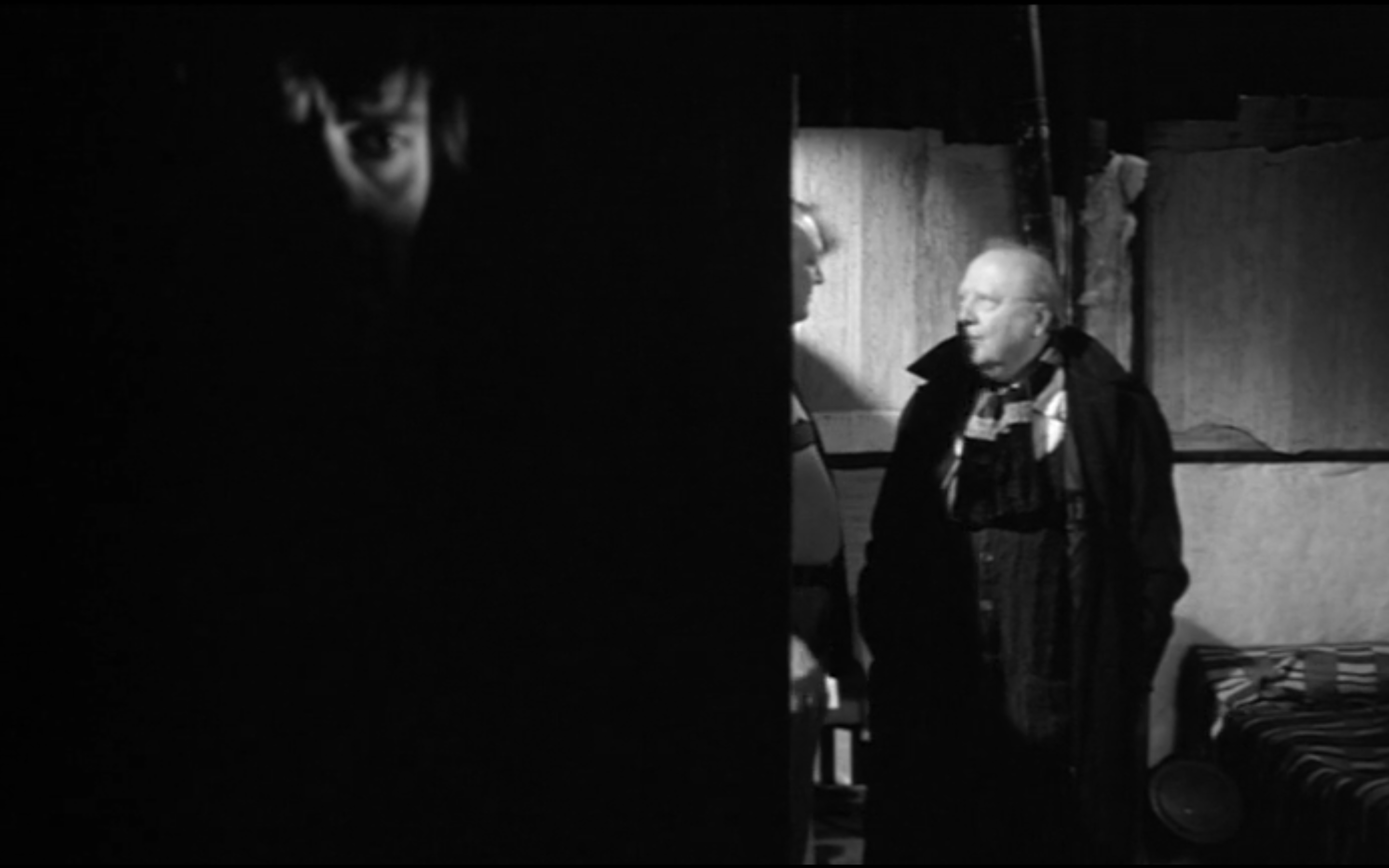 鲸鱼马戏团剧照的剧照