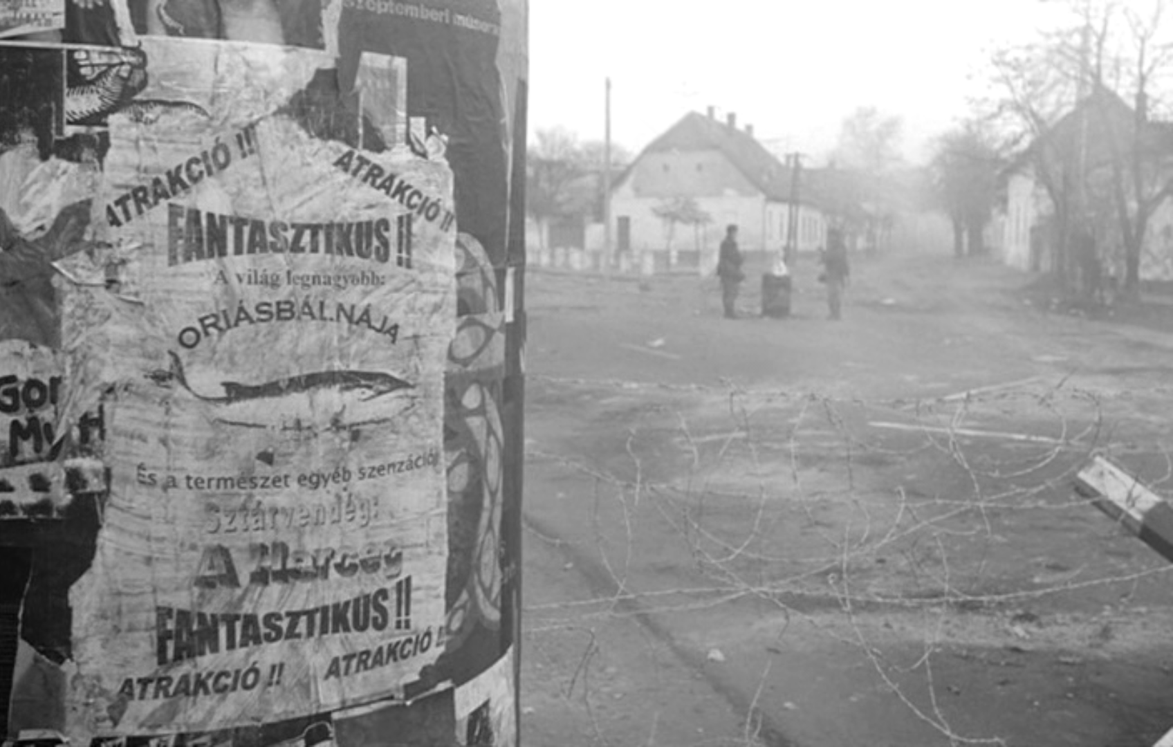 鲸鱼马戏团剧照的剧照