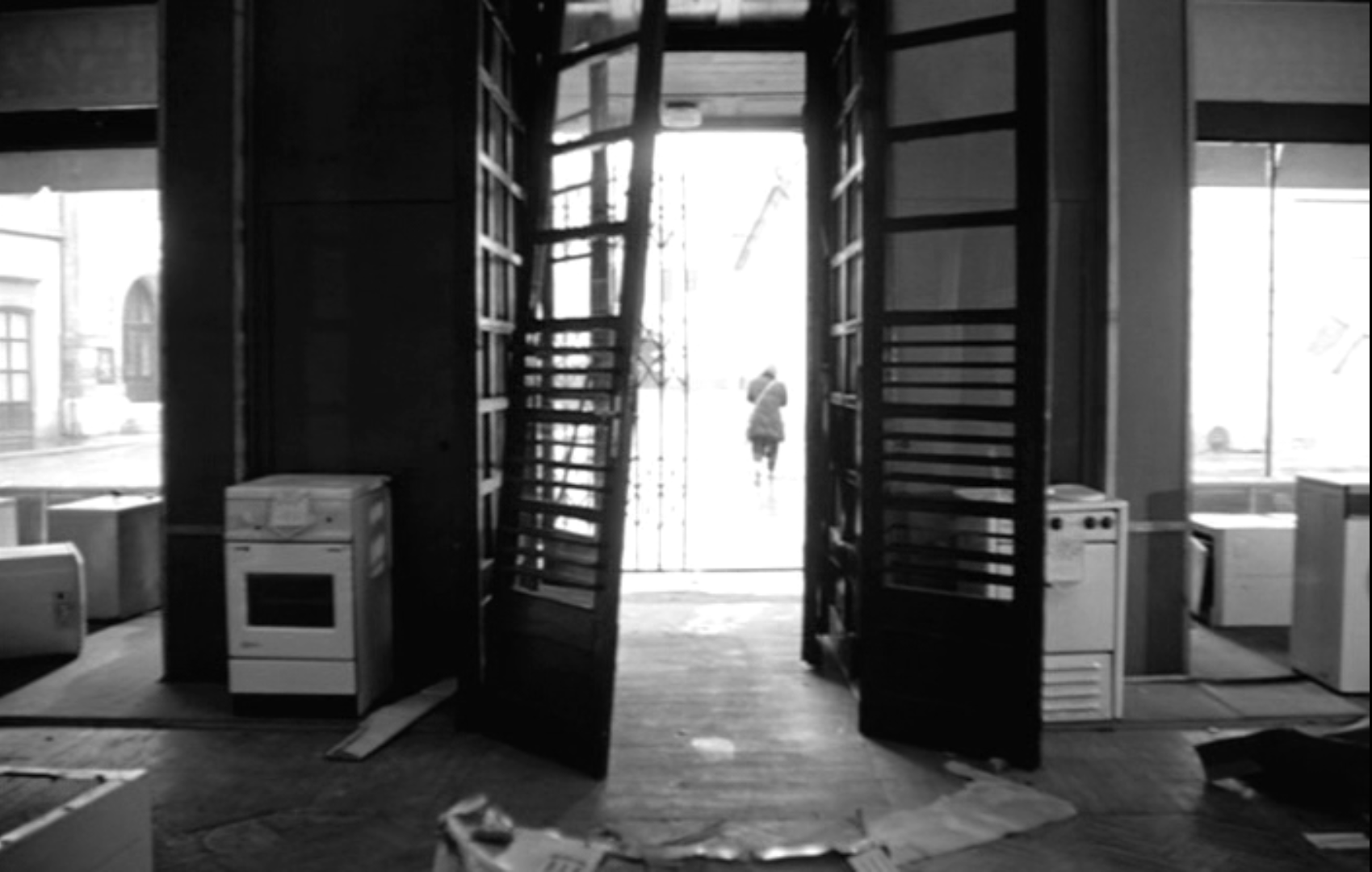 鲸鱼马戏团剧照的剧照