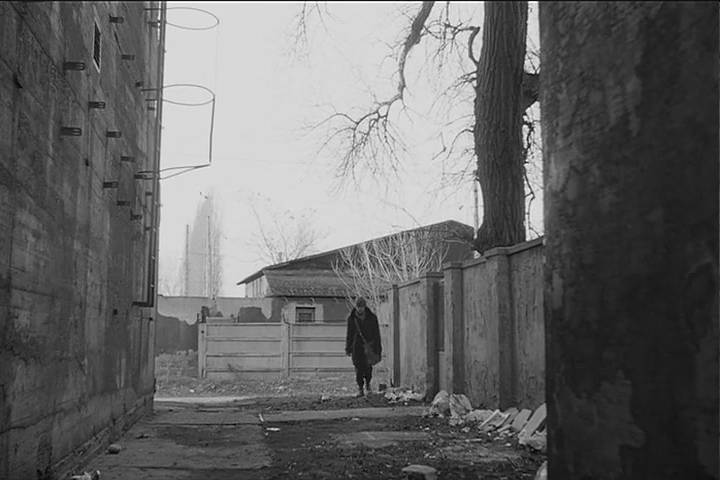 鲸鱼马戏团剧照的剧照