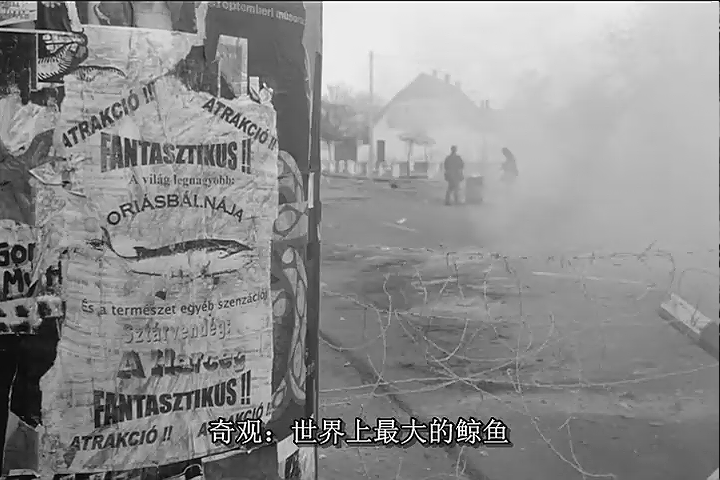 鲸鱼马戏团剧照的剧照