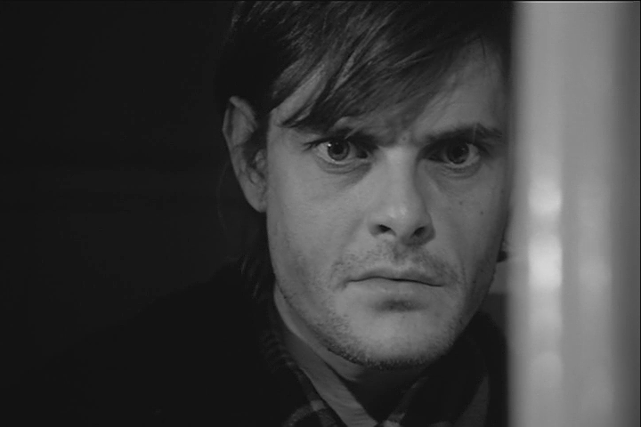 鲸鱼马戏团剧照的剧照