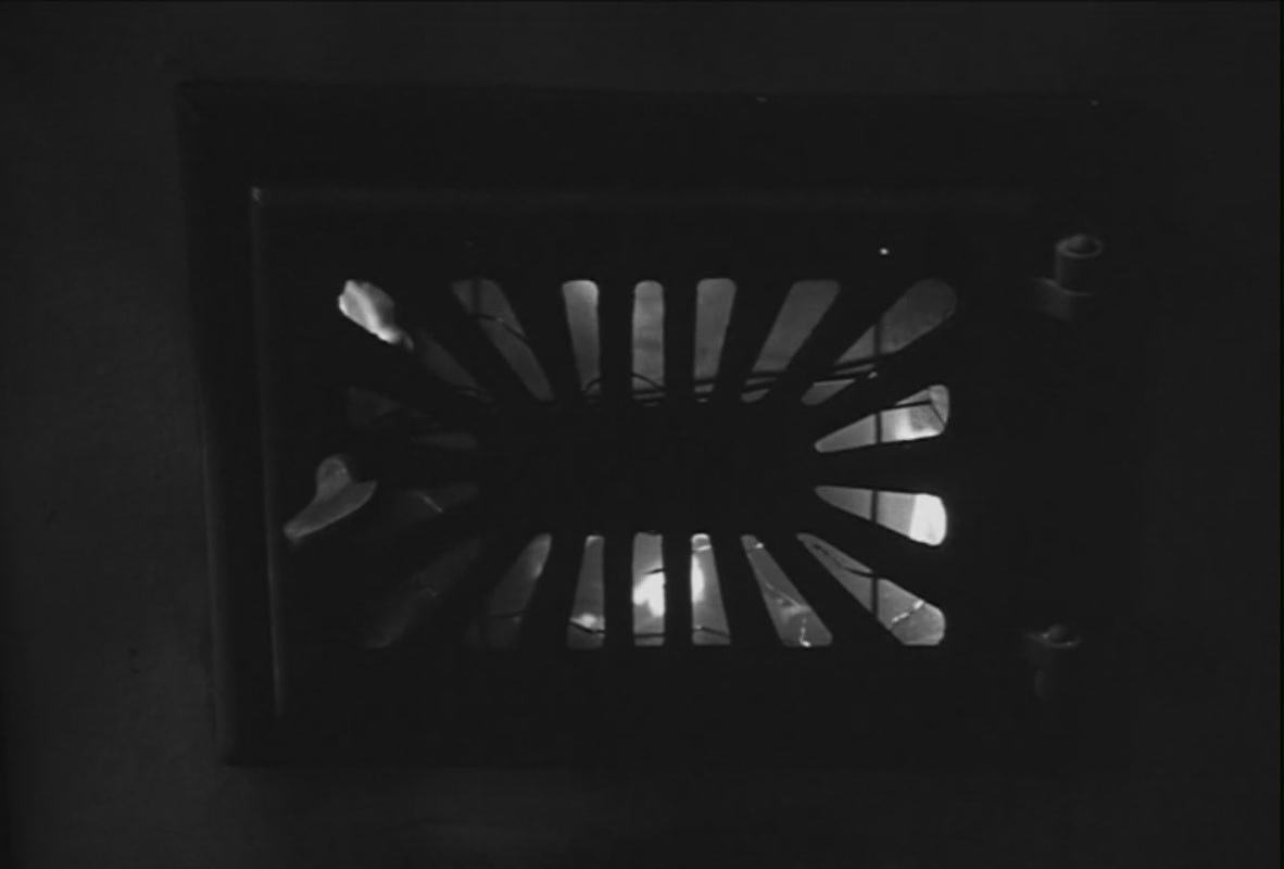 鲸鱼马戏团剧照的剧照