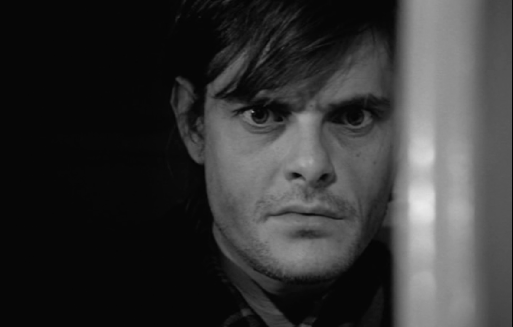 鲸鱼马戏团剧照的剧照