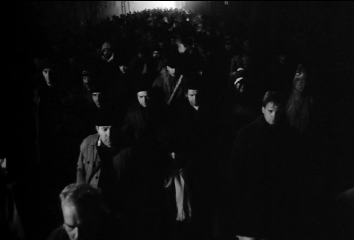 鲸鱼马戏团剧照的剧照