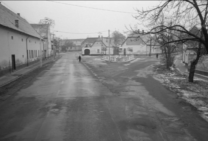 鲸鱼马戏团剧照的剧照