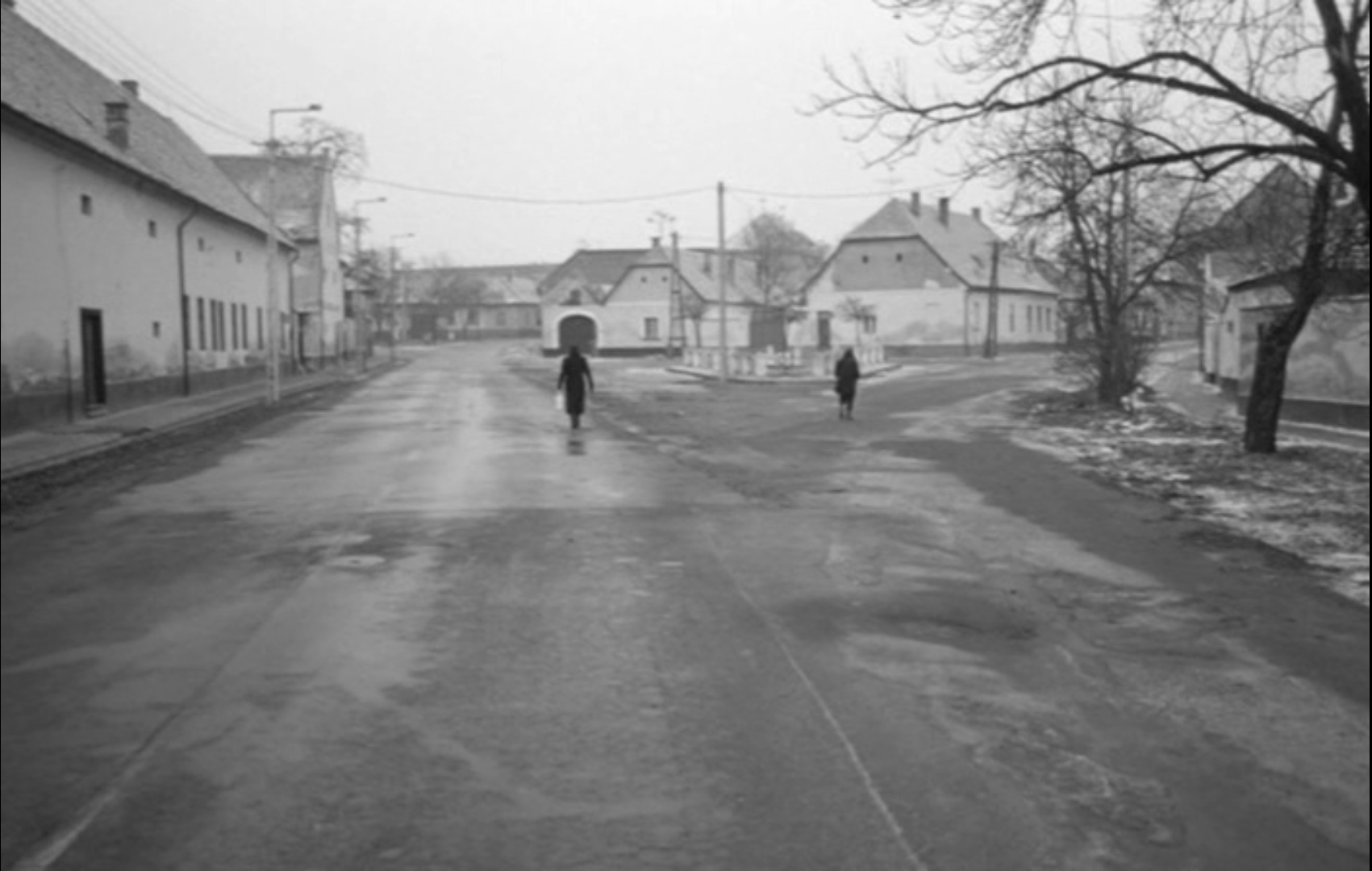 鲸鱼马戏团剧照的剧照