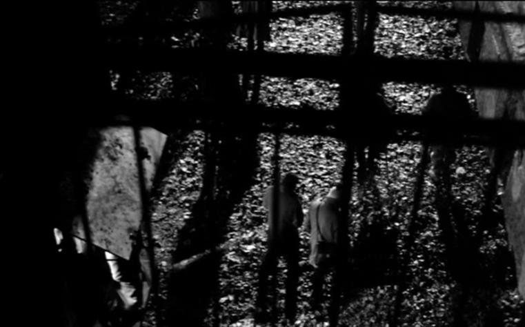 鲸鱼马戏团剧照的剧照