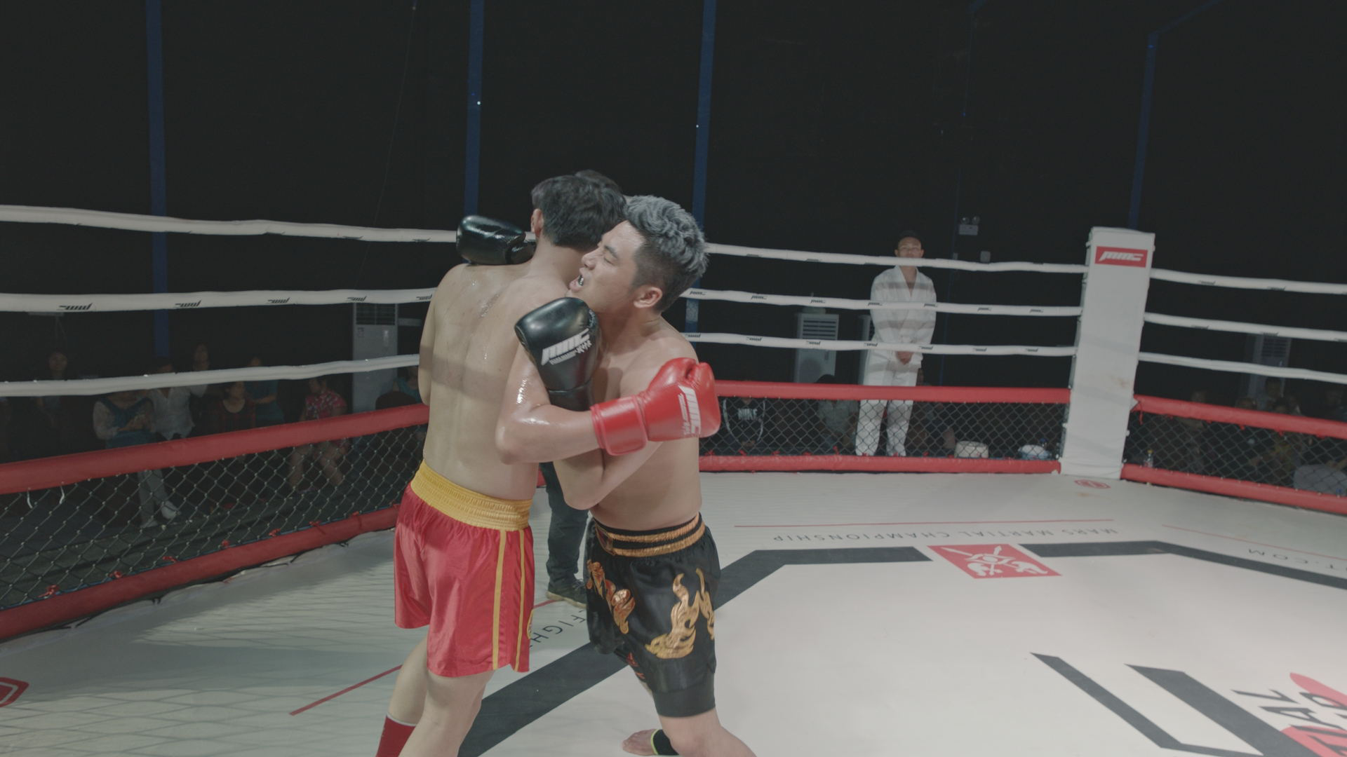 铁拳雄心剧照的剧照