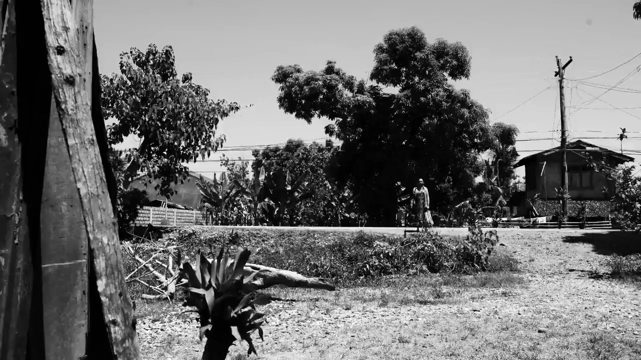 离开的女人剧照的剧照