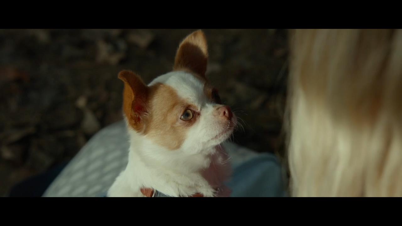 敬请稍候剧照的剧照