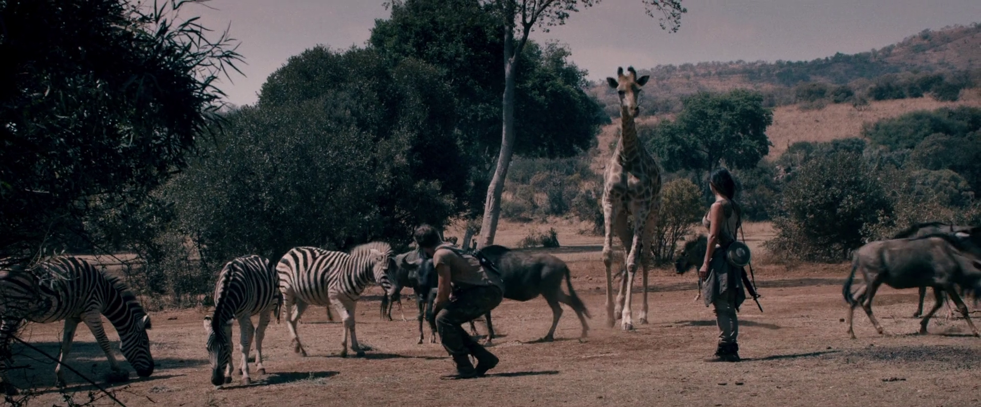 铁甲战神剧照的剧照