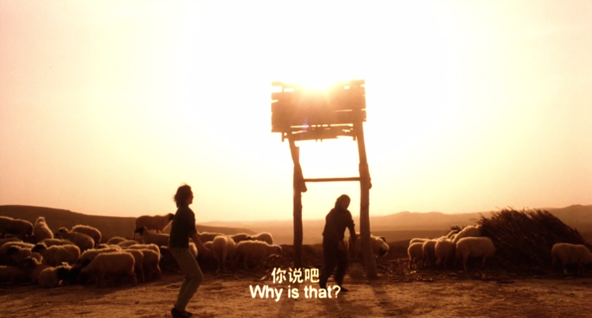 美丽的大脚剧照的剧照