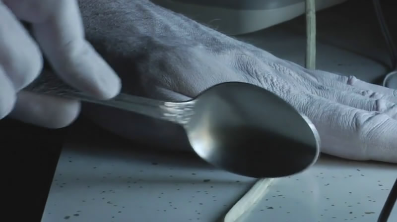 勺子杀人狂剧照的剧照