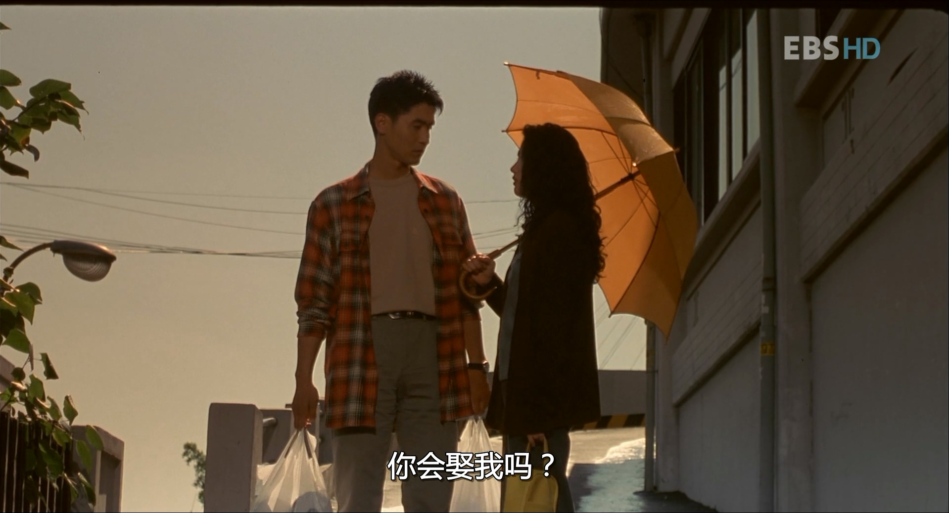 美术馆旁的动物园剧照的剧照