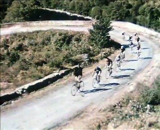 节日剧照的剧照