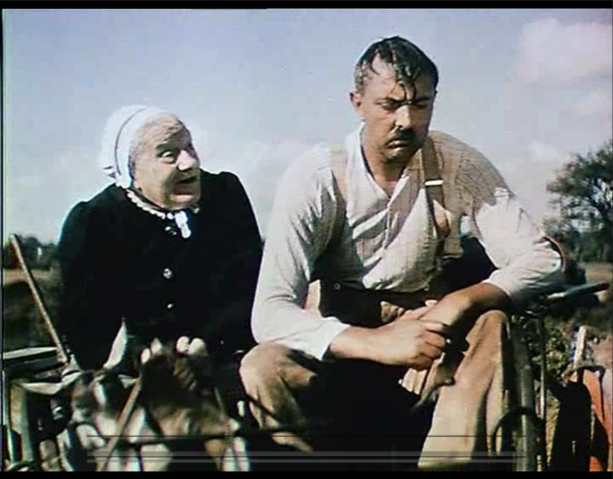 节日剧照的剧照