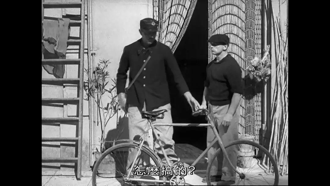 节日剧照的剧照